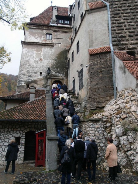 О вампирах — с юмором, о величествах — шепотом