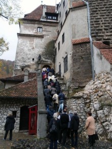 О вампирах — с юмором, о величествах — шепотом