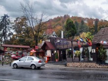 О вампирах — с юмором, о величествах — шепотом