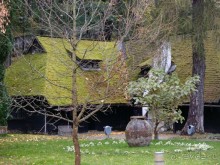 О вампирах — с юмором, о величествах — шепотом