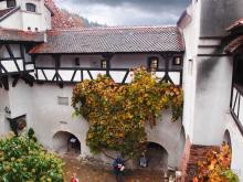 О вампирах — с юмором, о величествах — шепотом