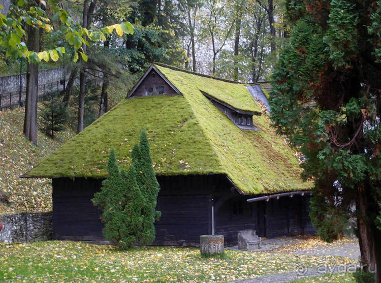 О вампирах — с юмором, о величествах — шепотом