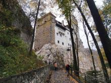 О вампирах — с юмором, о величествах — шепотом