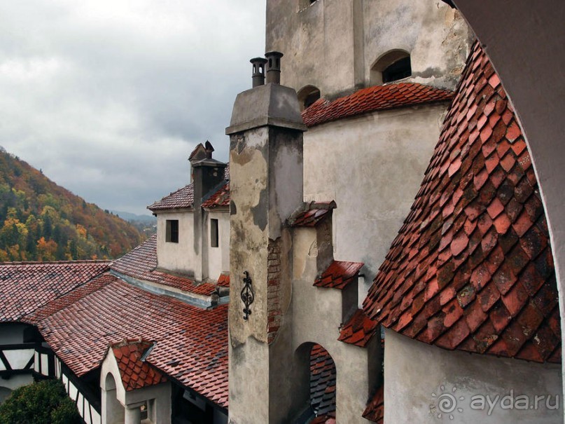 О вампирах — с юмором, о величествах — шепотом