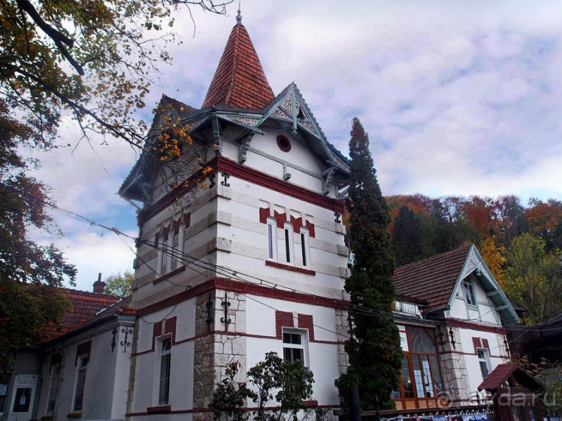 О вампирах — с юмором, о величествах — шепотом