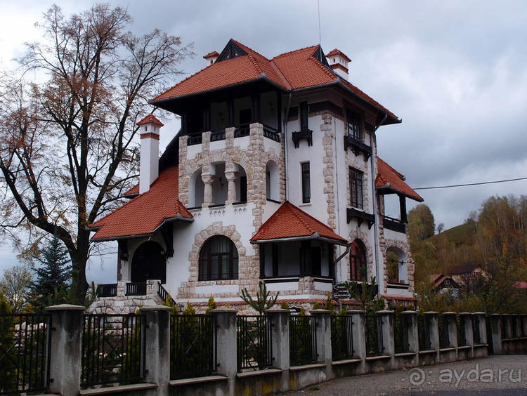 О вампирах — с юмором, о величествах — шепотом