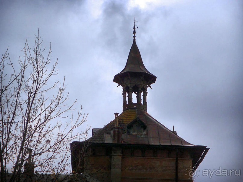 О вампирах — с юмором, о величествах — шепотом