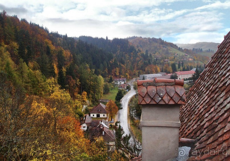 О вампирах — с юмором, о величествах — шепотом