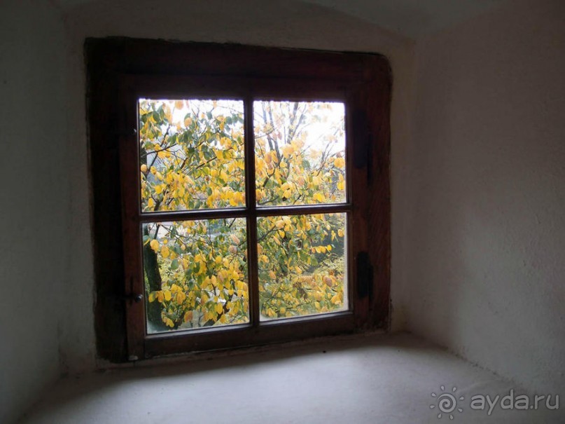 О вампирах — с юмором, о величествах — шепотом