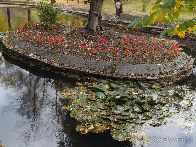 О вампирах — с юмором, о величествах — шепотом