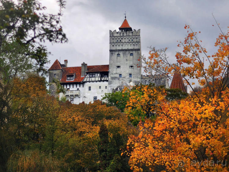 О вампирах — с юмором, о величествах — шепотом