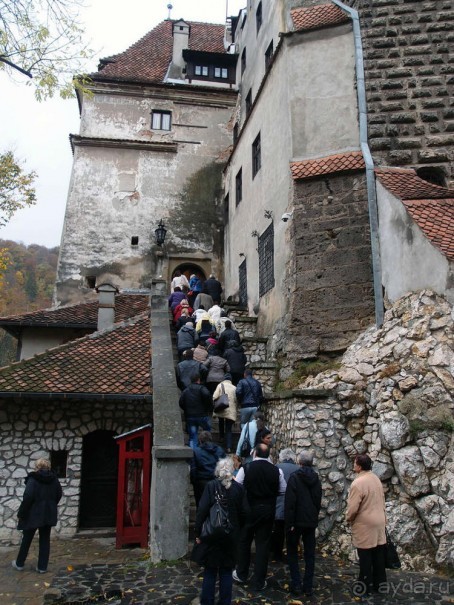 О вампирах — с юмором, о величествах — шепотом