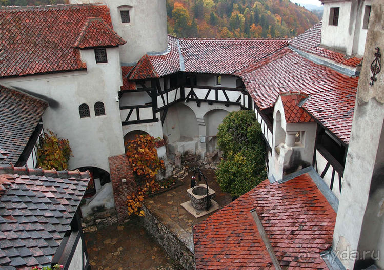 О вампирах — с юмором, о величествах — шепотом