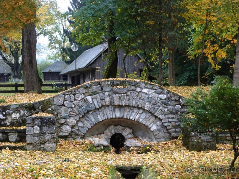 О вампирах — с юмором, о величествах — шепотом