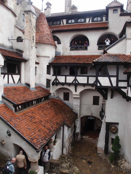 О вампирах — с юмором, о величествах — шепотом