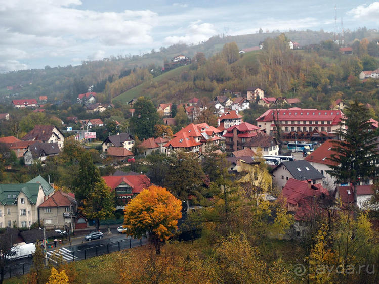 О вампирах — с юмором, о величествах — шепотом