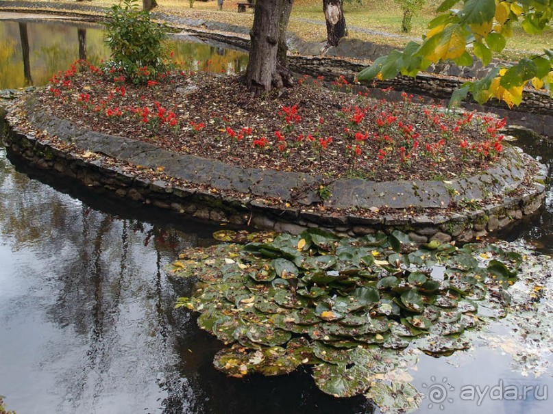 О вампирах — с юмором, о величествах — шепотом