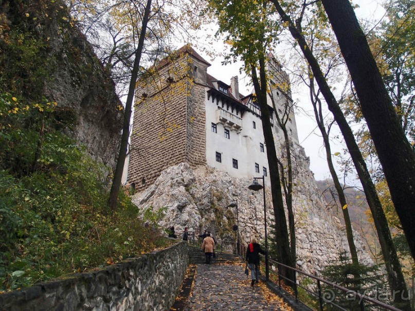 О вампирах — с юмором, о величествах — шепотом