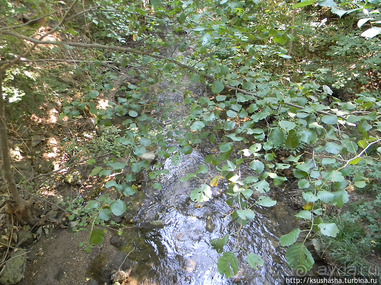 Морской грот не в море, а в лесу