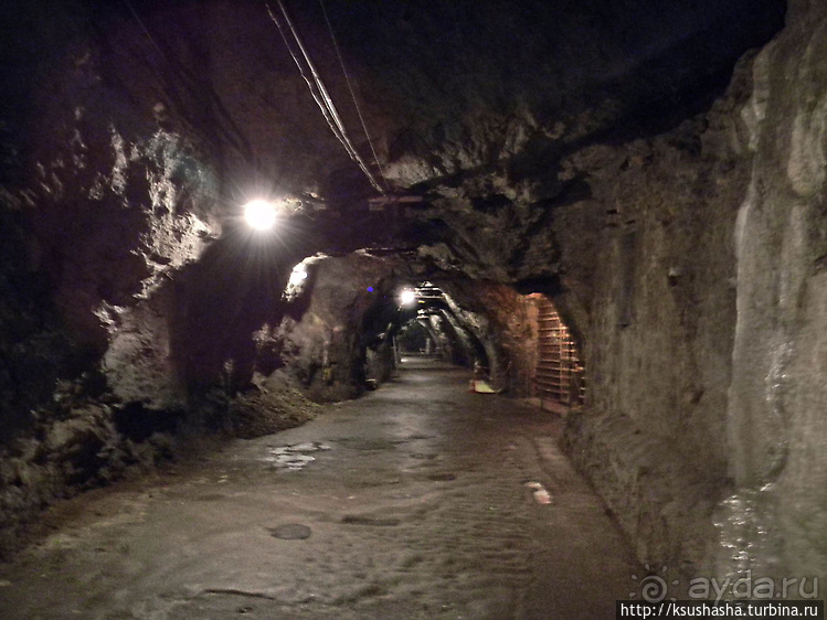 Альбом отзыва "Морской грот не в море, а в лесу"