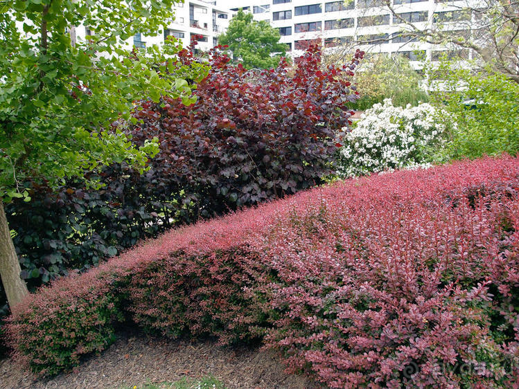 Классика, импрессионизм и абстракция без красок и холста