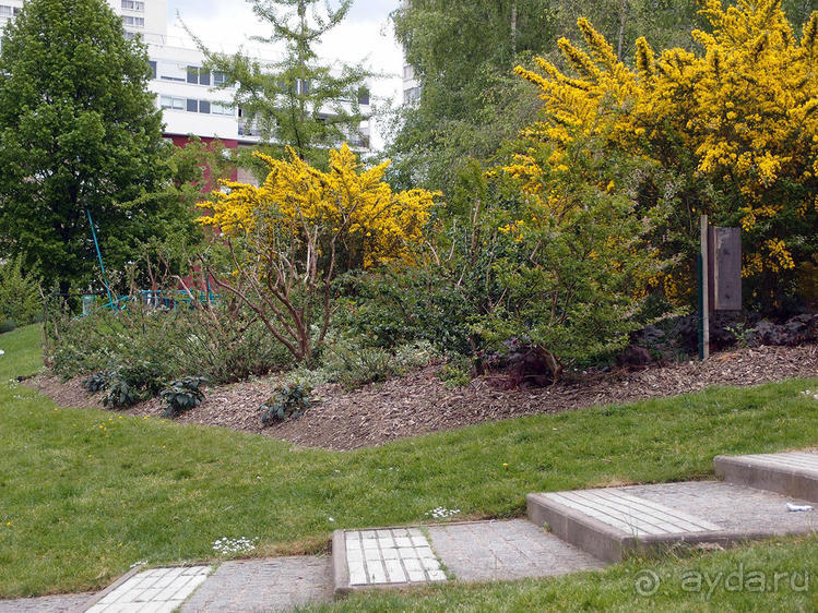 Классика, импрессионизм и абстракция без красок и холста