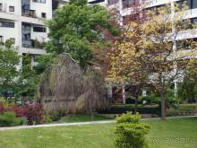 Классика, импрессионизм и абстракция без красок и холста