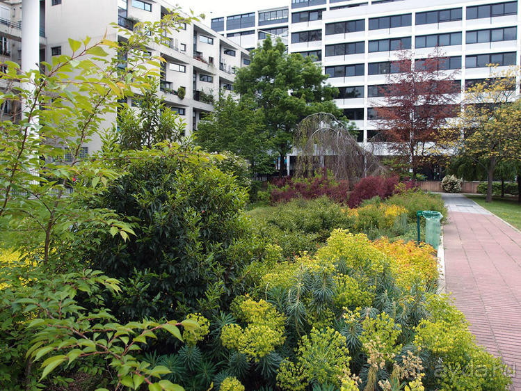 Классика, импрессионизм и абстракция без красок и холста