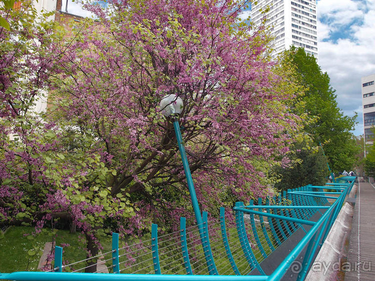 Классика, импрессионизм и абстракция без красок и холста