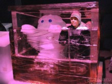 Выставка ледяных скульптур