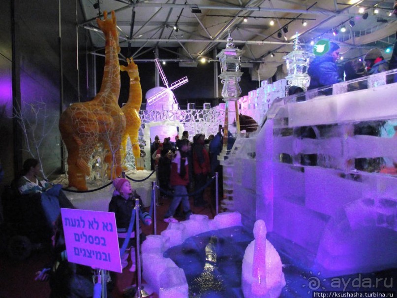 Выставка ледяных скульптур