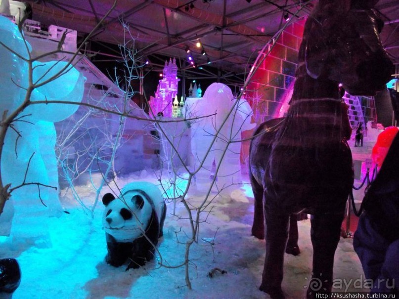 Выставка ледяных скульптур