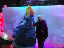 Выставка ледяных скульптур