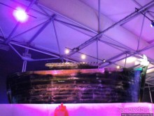 Выставка ледяных скульптур