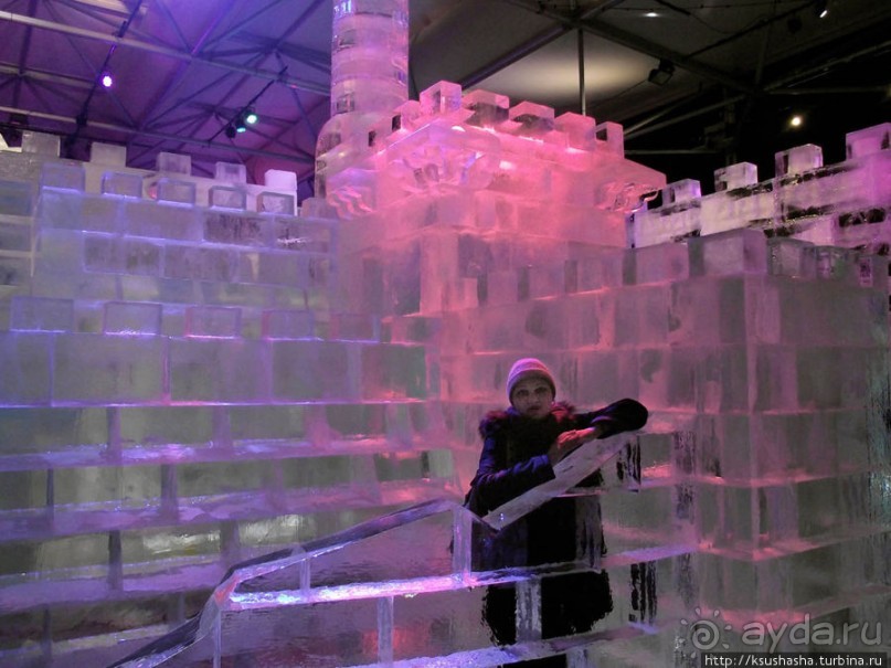 Выставка ледяных скульптур