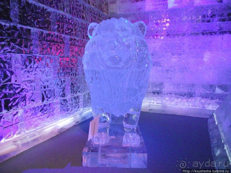 Выставка ледяных скульптур