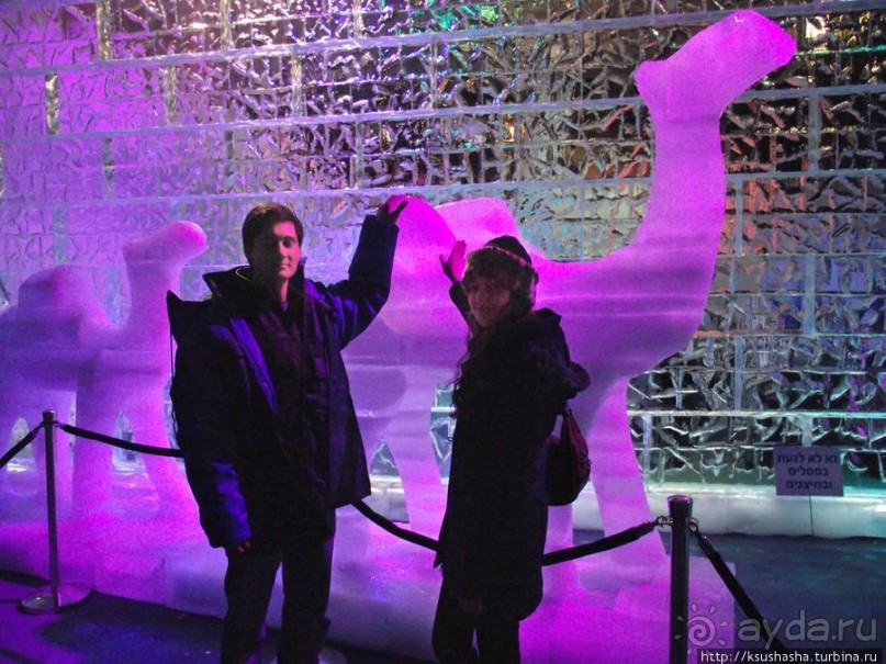 Выставка ледяных скульптур