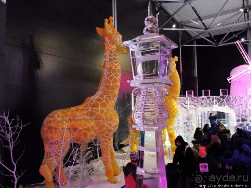 Выставка ледяных скульптур