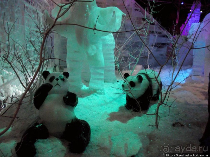 Выставка ледяных скульптур