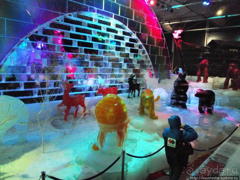 Выставка ледяных скульптур