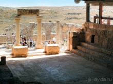 Альбом отзыва "Ботаника, археология и зеленая черта"