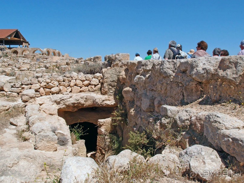 Альбом отзыва "Ботаника, археология и зеленая черта"