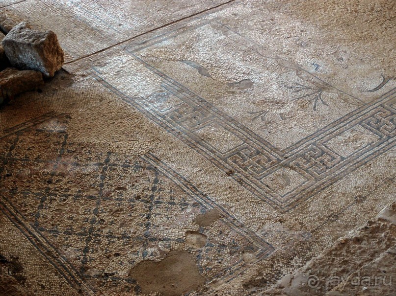 Альбом отзыва "Ботаника, археология и зеленая черта"