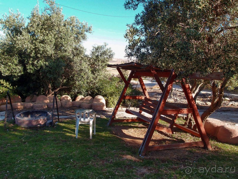 Альбом отзыва "Ботаника, археология и зеленая черта"