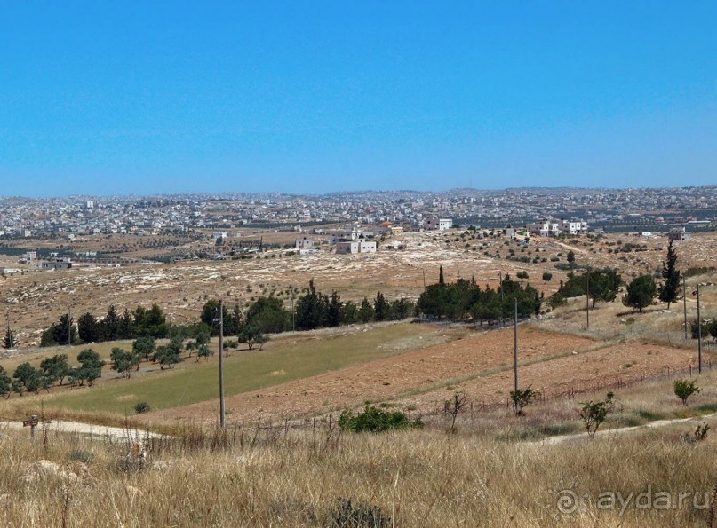 Альбом отзыва "Ботаника, археология и зеленая черта"