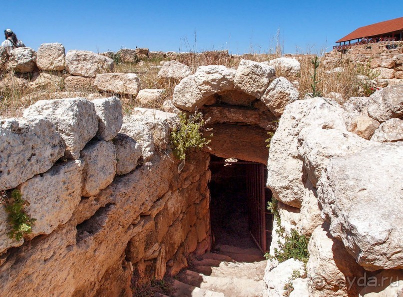 Альбом отзыва "Ботаника, археология и зеленая черта"