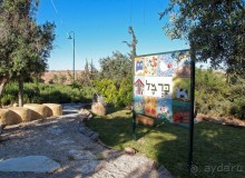 Альбом отзыва "Ботаника, археология и зеленая черта"