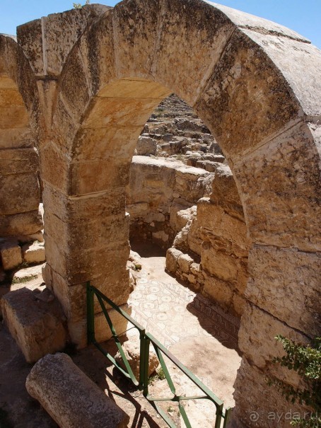 Альбом отзыва "Ботаника, археология и зеленая черта"