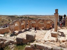 Альбом отзыва "Ботаника, археология и зеленая черта"