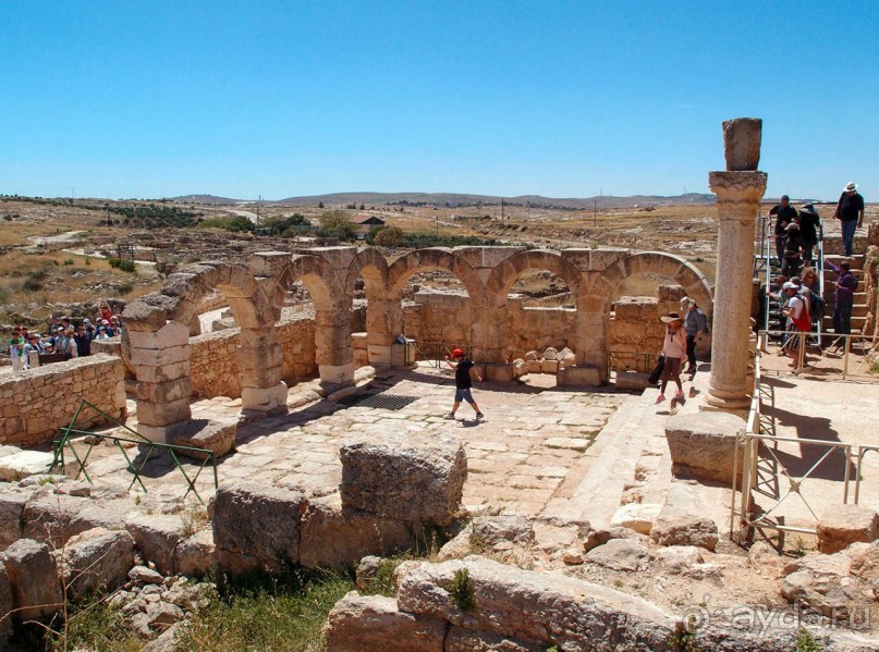 Альбом отзыва "Ботаника, археология и зеленая черта"